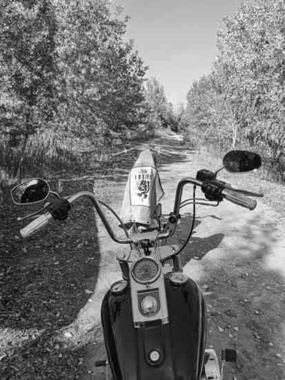 View over the bars of a chopper on a dirt road